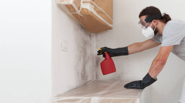 Professional Crawl Space Mold Remediation technician working in Cocolamus, PA