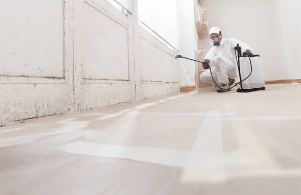 24/7 Emergency Crawl Space Mold Remediation experts in Cocolamus, PA
